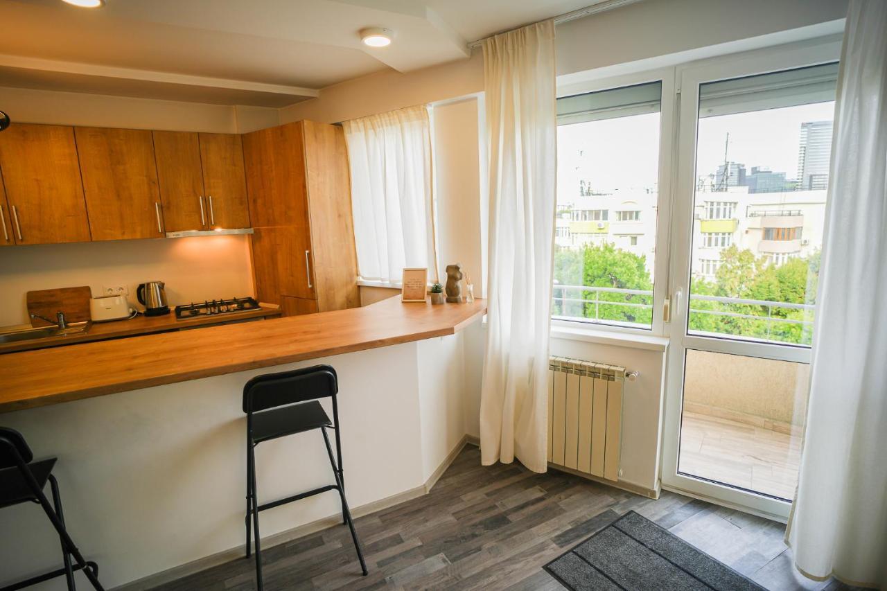 Penthouse With Huge Rooftop & Amazing City View Bucarest Extérieur photo